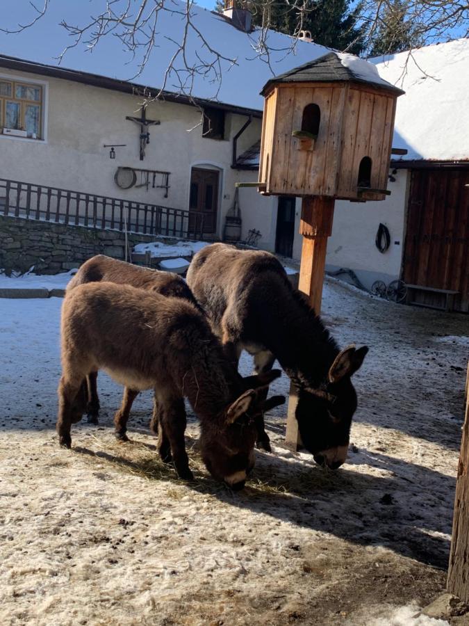 Chalupa Gretl Pohorsko Экстерьер фото